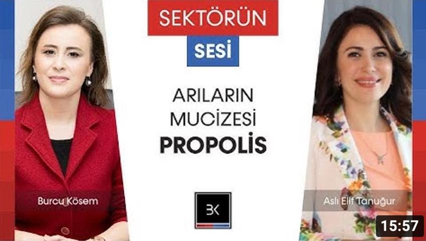 Arıların Mucizesi Propolis / Doğanın Bilinen En Zengin Gıdalarından